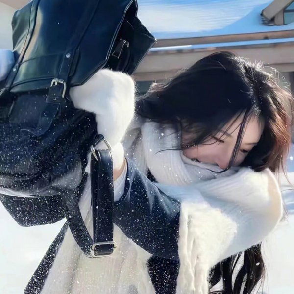 胡同交响曲封面